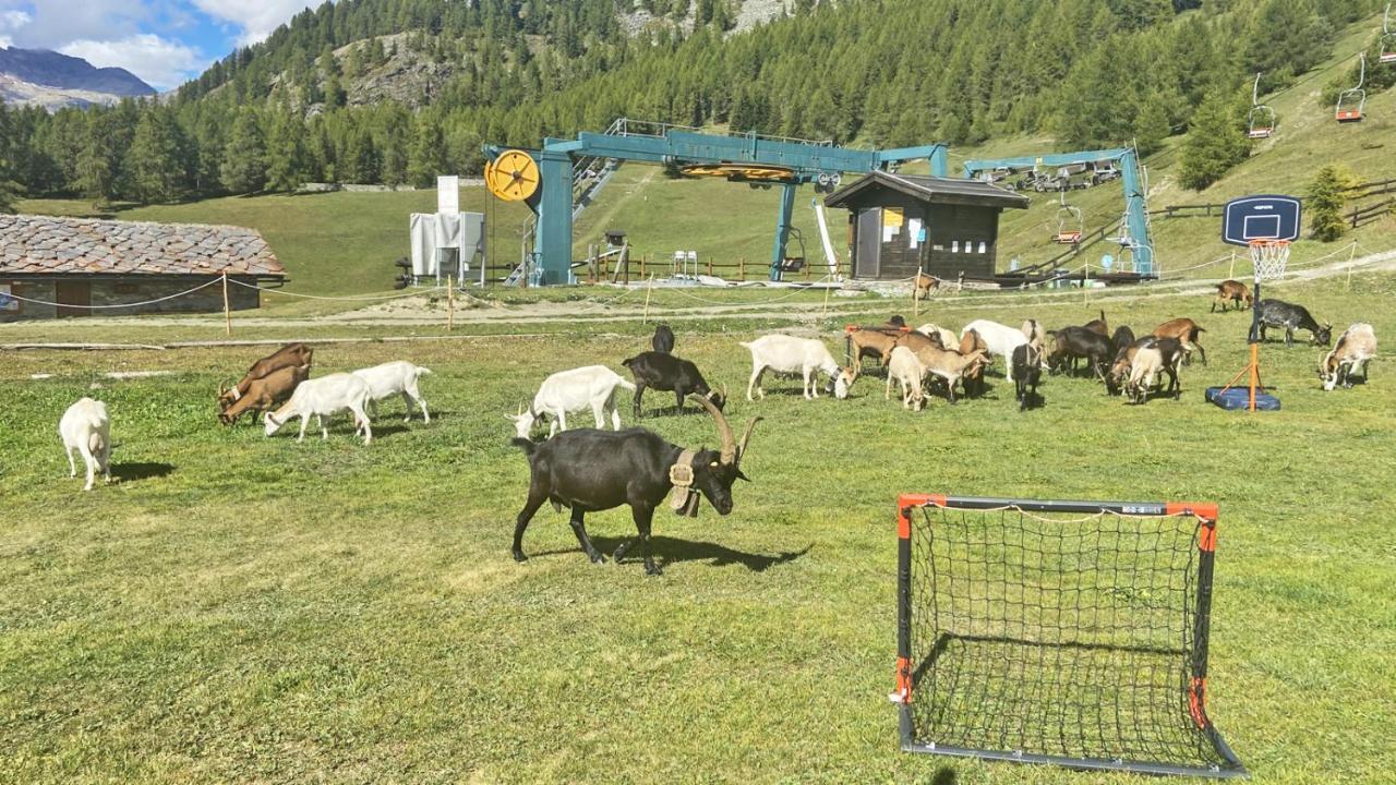 Locanda Ristorante Bar Del Lago Chamois Eksteriør bilde